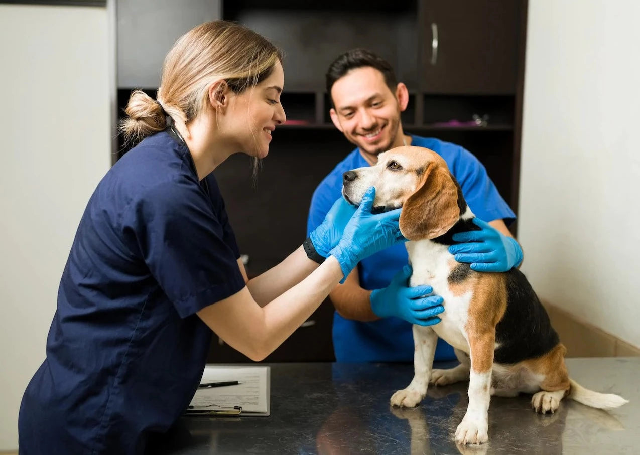 GDVs - navigating the twists and turns