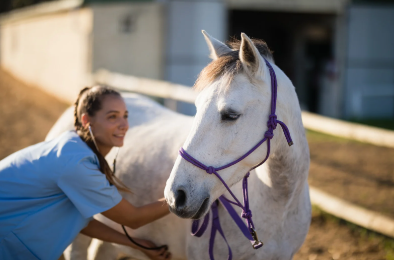 Beyond the numbers: Interpreting endocrine diagnostics in the complex equine patient (LVS25)