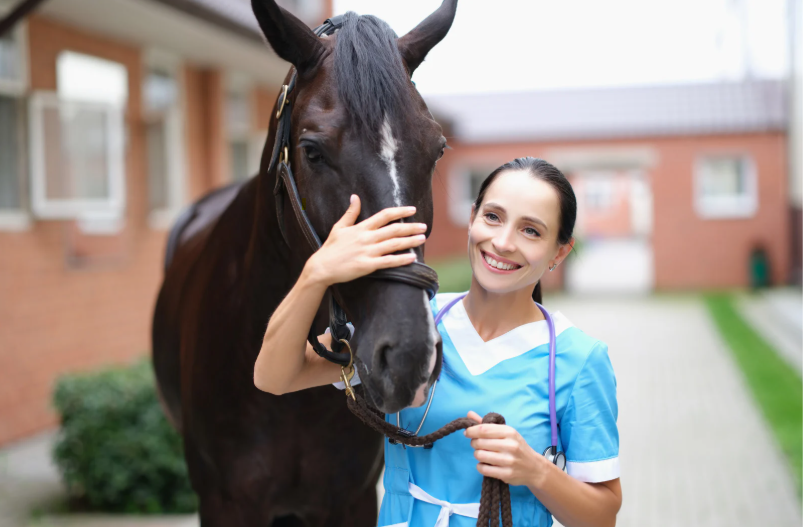 Beyond lameness: Integrating functional assessment into performance diagnostics (LVS25)