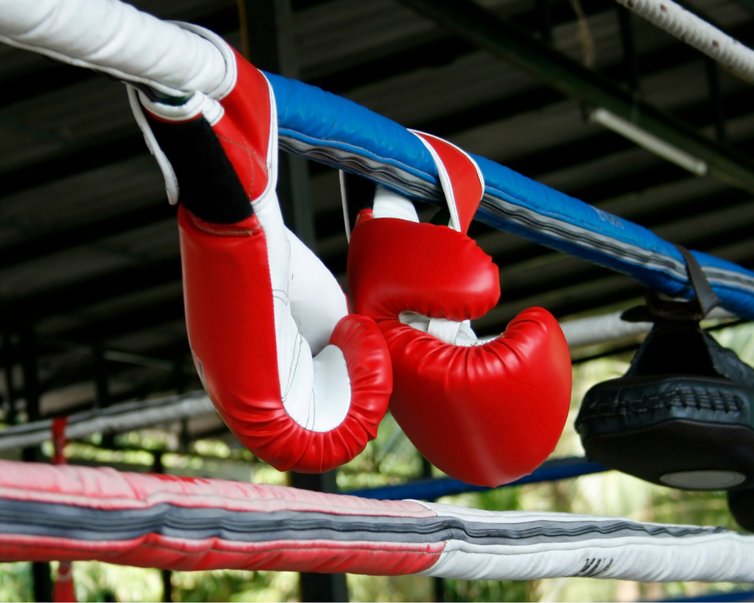 It’s a knock out: Tips and tricks for successful small mammal anaesthesia