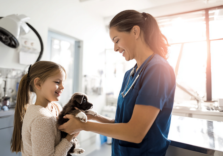 The vet-parent balancing act: Strategies for a successful return (LVS25)