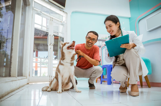 Growth through innovation: Elevate care and revenue
