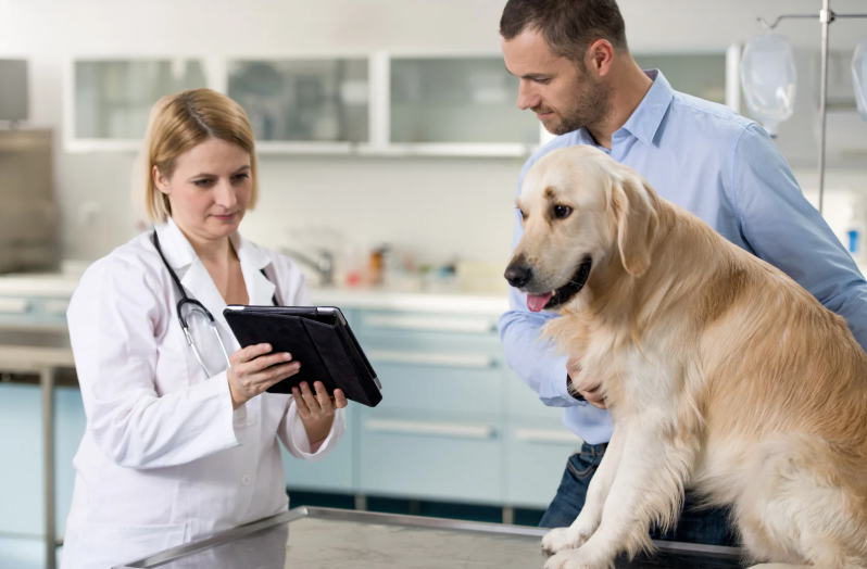 Is the vet client patient relationship broken? (LVS25)