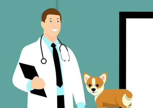 What a Relief! How to Maximize Your Career as a Relief Veterinarian
