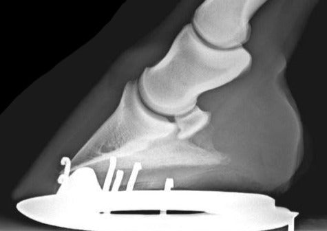 Tips and Tricks for Taking Great Radiographs in the Field