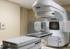 Top 3 des conditions neurologiques des animaux de compagnie pédiatriques et gériatriques