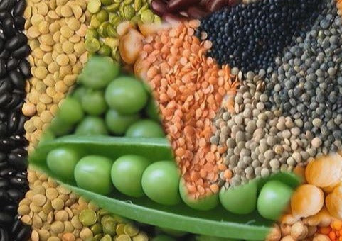 Food for Thought: Diet Associated Cardiomyopathy