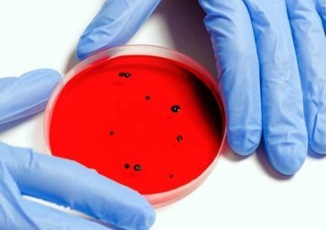 Antibiotiques - Ils Ne Seront Plus Jamais Mal Utilisés !