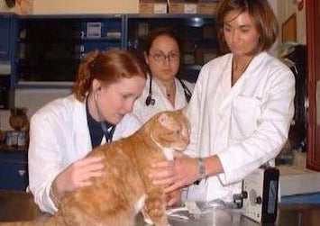Hypertension
