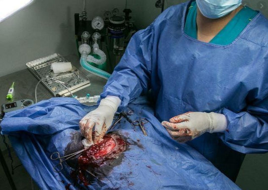 Old and New Thoughts on Surgical Site Infections