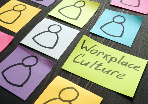 Culture is not just for sensitivity