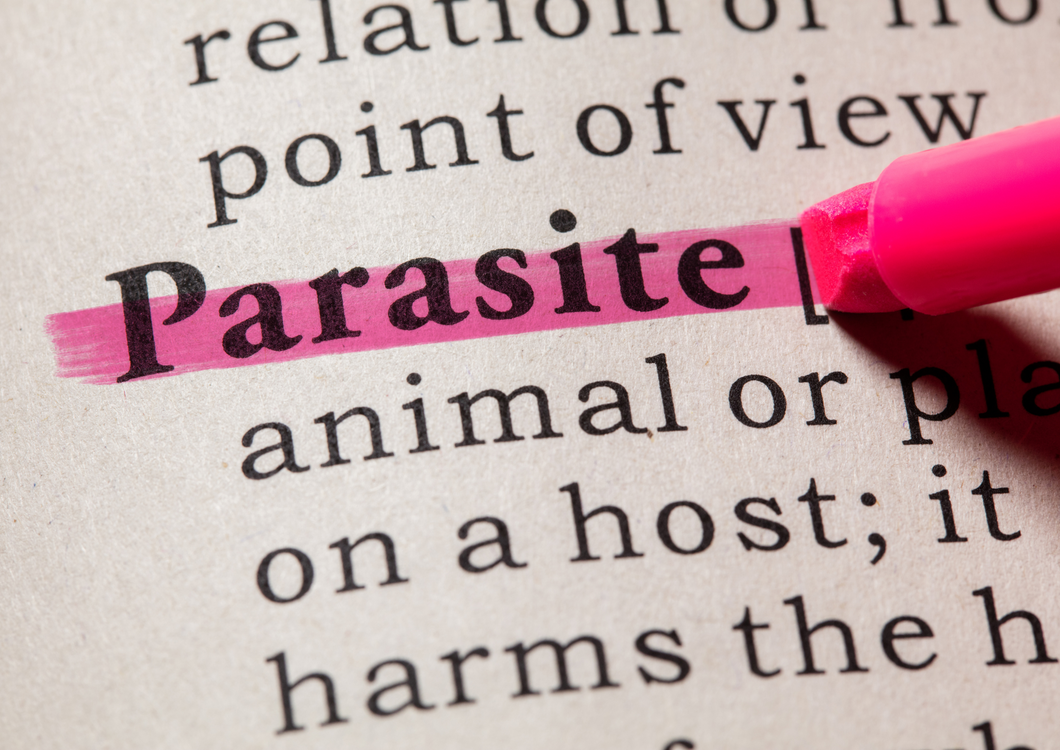 The perils of parasites