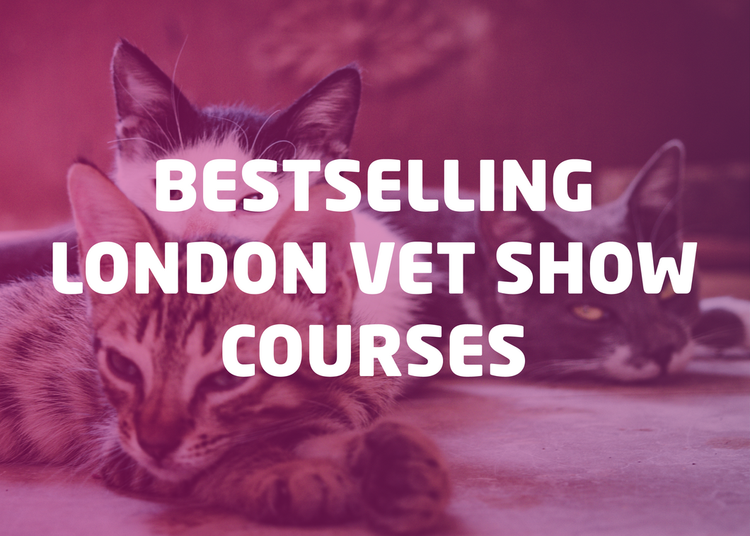 Bestselling London Vet Show Course Bundle