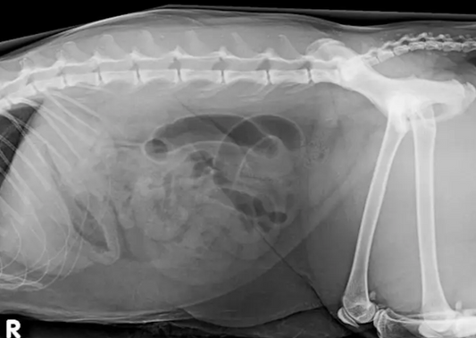 What Imaging Modality Should I Use When? Does Ultrasound Always Trump Radiology?