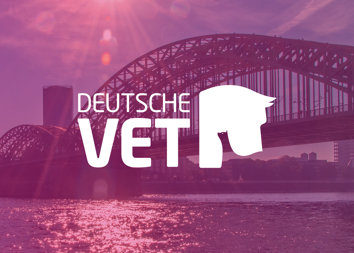 Bundle Deutsche Vet 2019