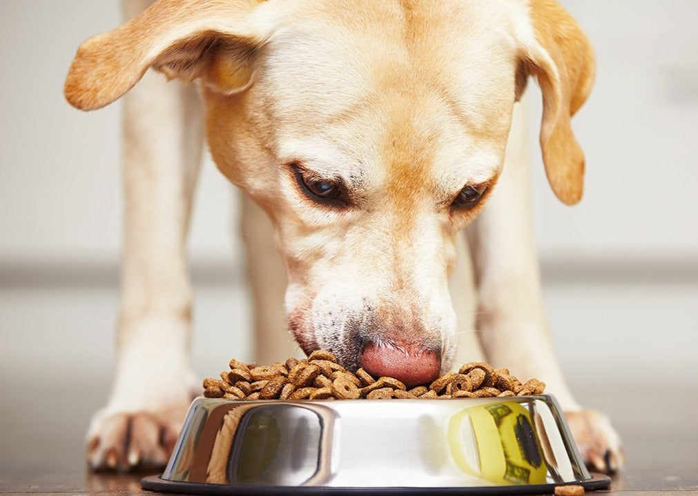 Réalité vs fiction: une saine nutrition clinique dans un monde propulsé par la pseudoscience nutritionnelle