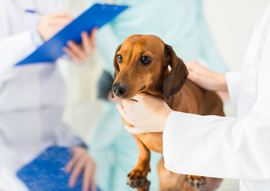 Diagnostic approach to thyroid disease