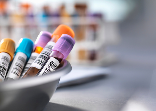Bloody business; The principles of haematology