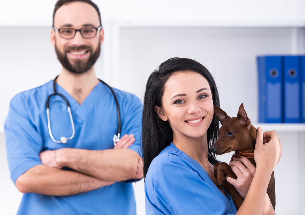 The vet/nurse team: In-hospital and at home management of the unwell small mammal