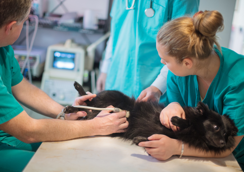 Saving lives - diagnostic approach and management of the patient with an acute abdomen