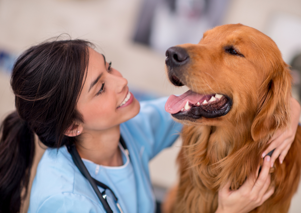 Not just a job - cultivating happiness at work
