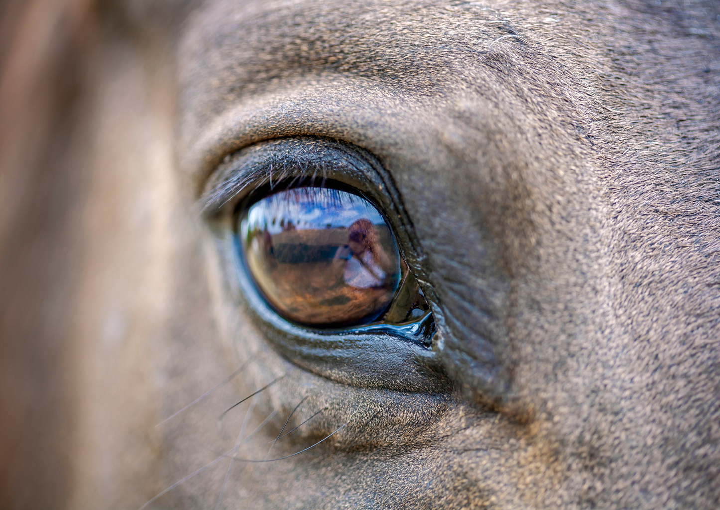 Diagnosing and managing uveitis