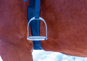 Evaluation of the horse under saddle