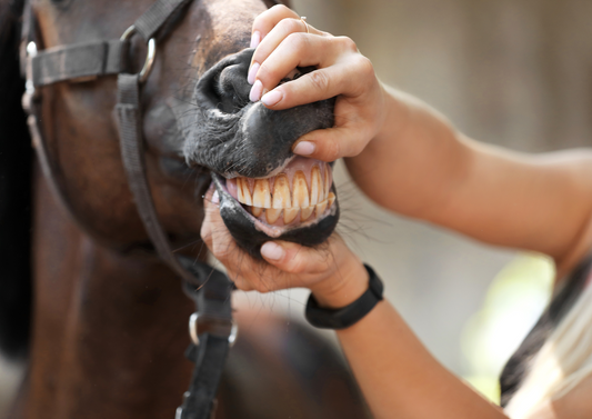 Top tips to improve your routine dentistry