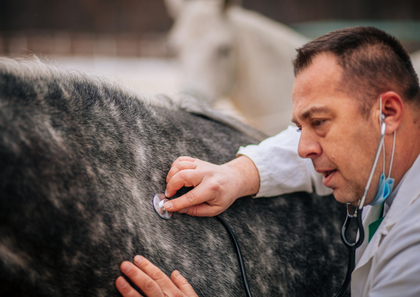 The exotic diseases you don't want to be the first to see