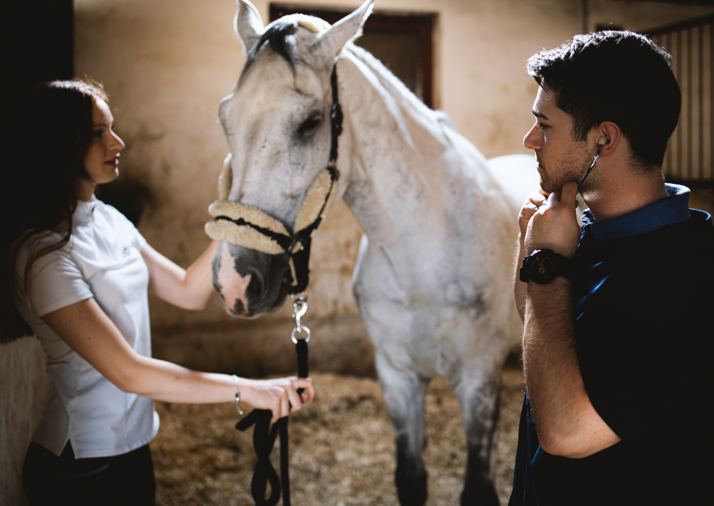 A practical approach to the coughing horse