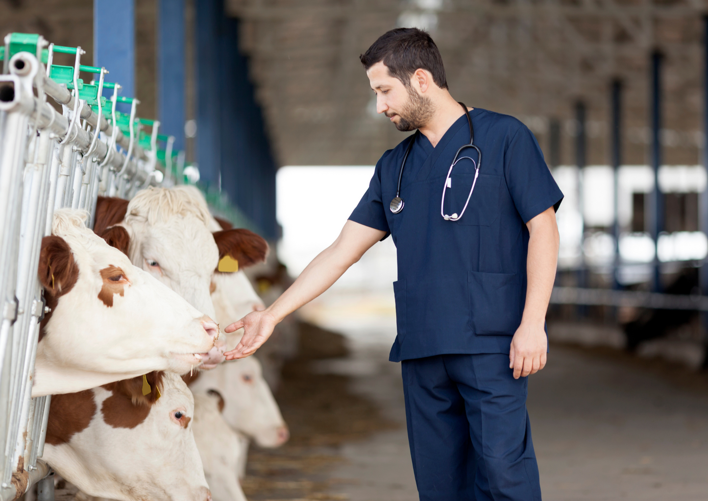 Facilitating change in agriculture: farm vets as change makers