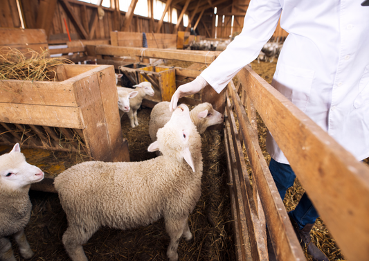 Animal and health and welfare pathway -  covering the four Nations