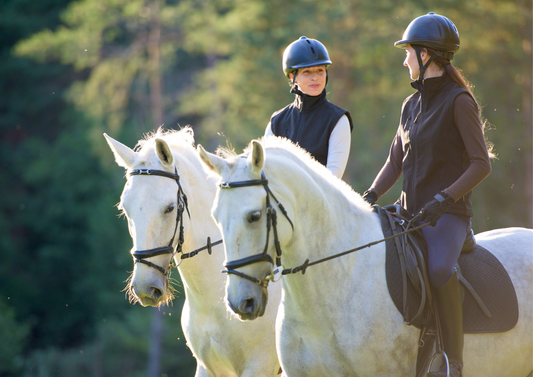 The influence of rider asymmetry and saddle on equine performance