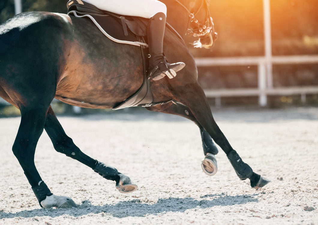 Take a deep breath - Lower airway disease in Sports Horses
