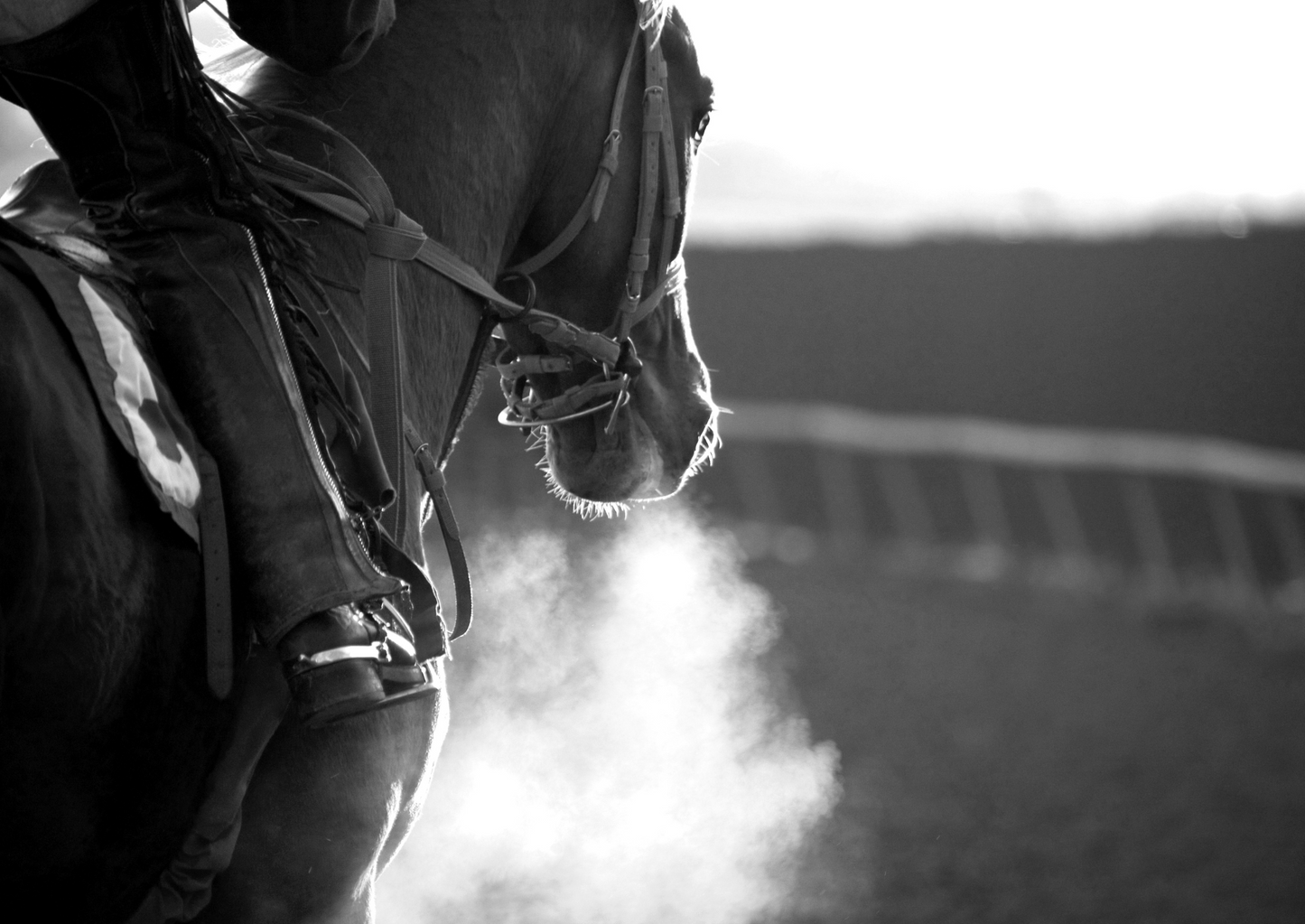 Laryngeal Reinnervation â€“ when is it appropriate?