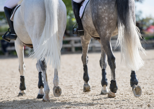 Assessment and action for angular limb deformities