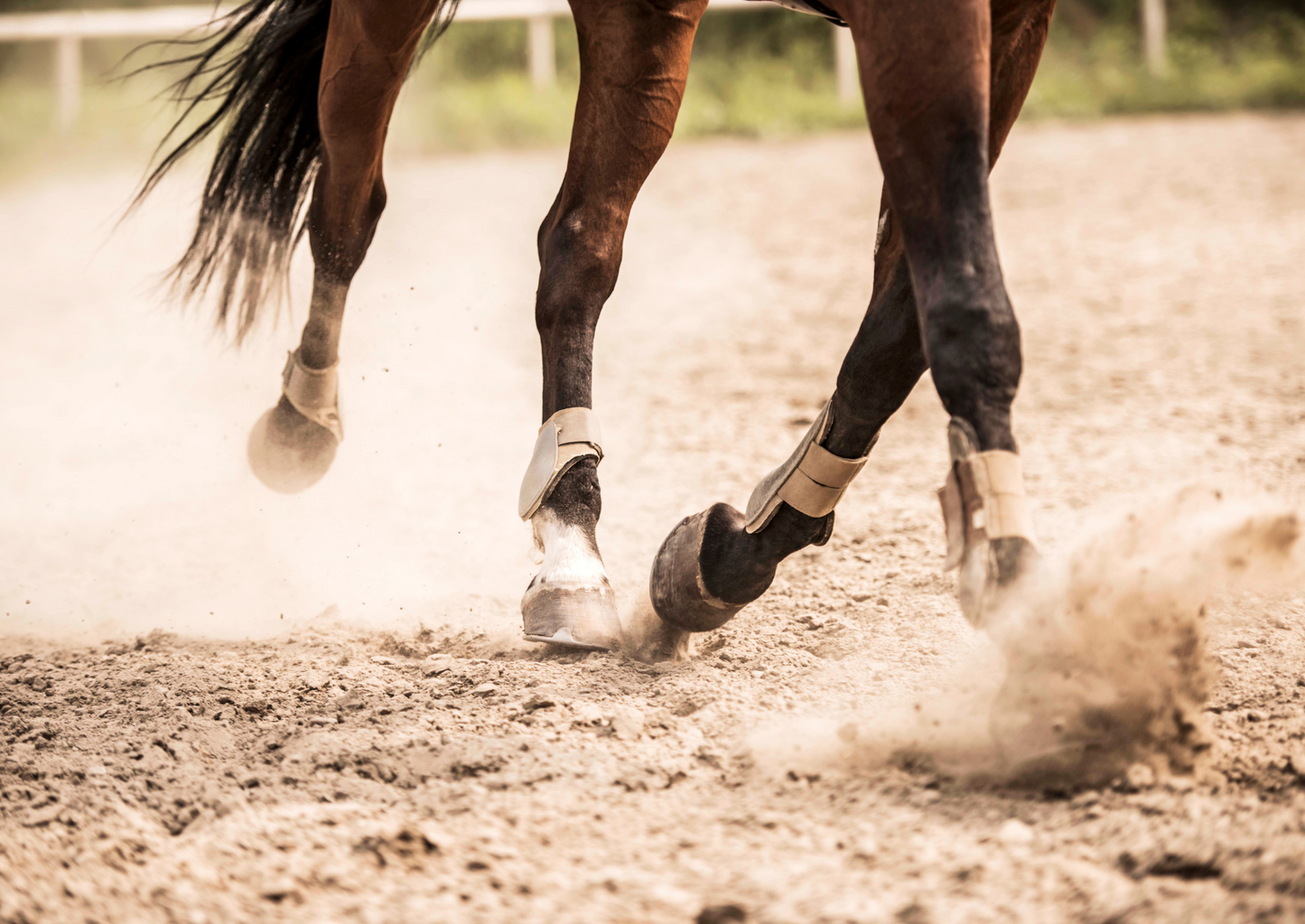 Diagnostic techniques for sacroiliac joint region pain