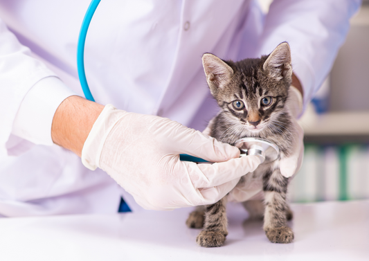 Tetralogy or not Tetralogy? The dos and dont's of congenital heart disease