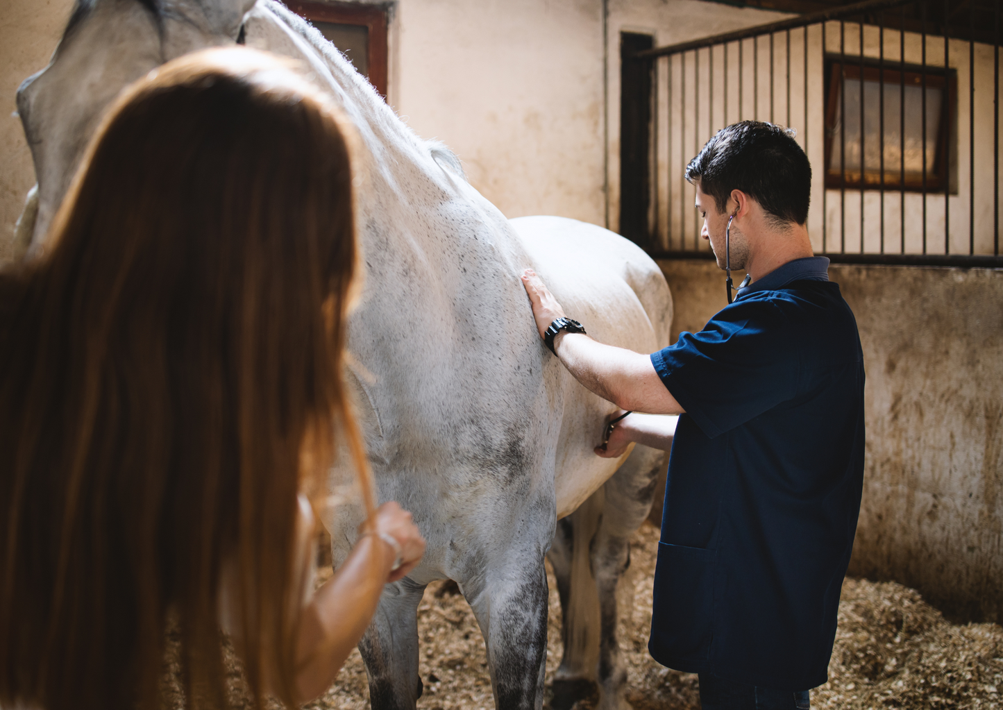 What's new in the liver? Hepatic diseases in the age of hepatic viruses