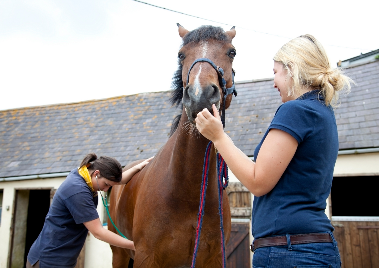 Basic cardiology: an approach to arrhythmias in the field