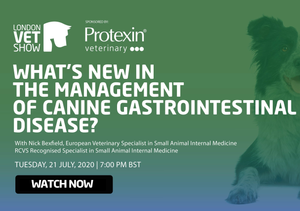 What’s New in the Management of Canine Gastrointestinal Disease?