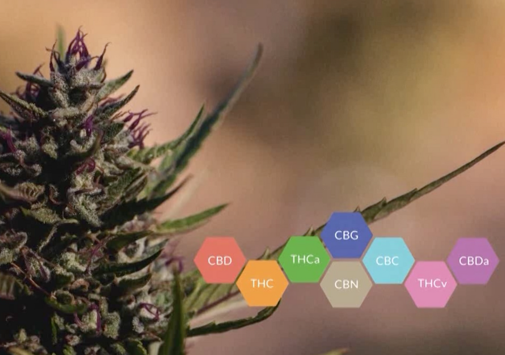 Medical Cannabinoids - a Review