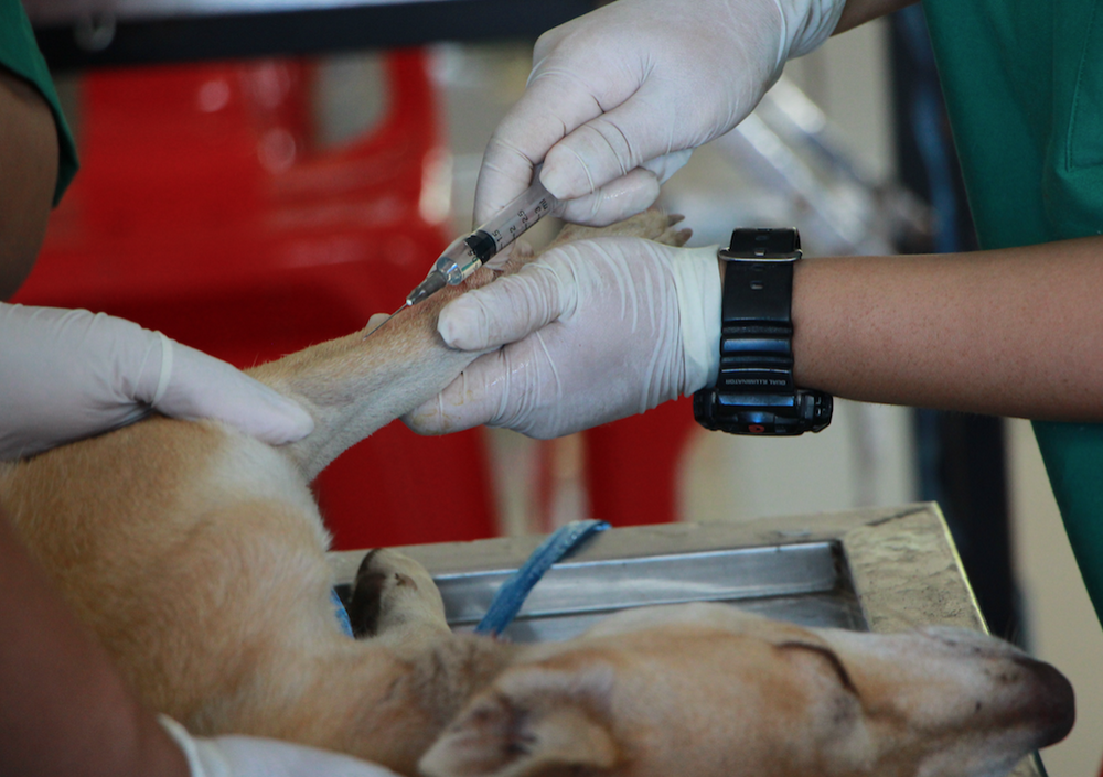 Regenerative Medicine - from Classroom to Clinic