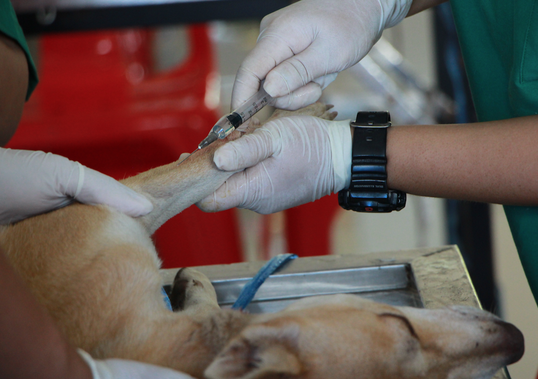 Regenerative Medicine - from Classroom to Clinic