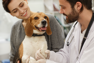 Fear Free Veterinary Medicine During COVID-19