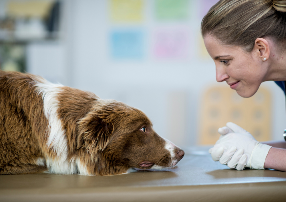 Things to consider before owning your own practice