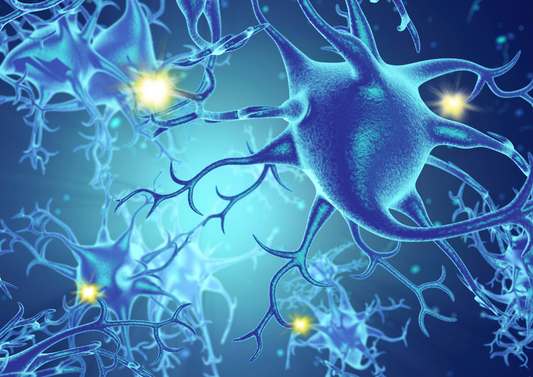 Cytology in the emergency room