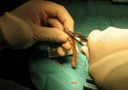 Do you want to love diagnosing Cruciate ruptures?