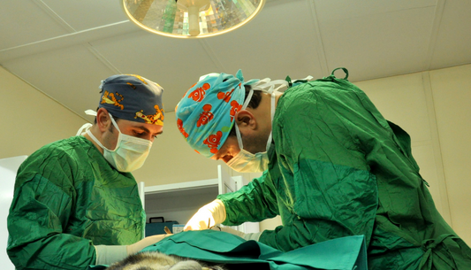 Interpreting Pre Anesthetic Biochemistry Profiles - When to Put the Brakes On