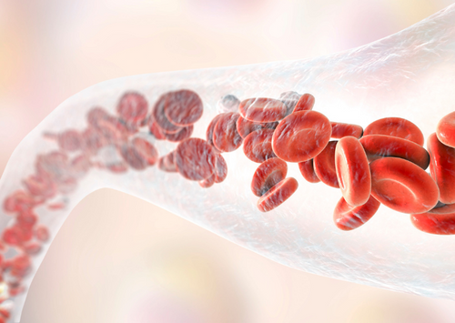 Haematology in the Emergency Patient: The Sooner the Better